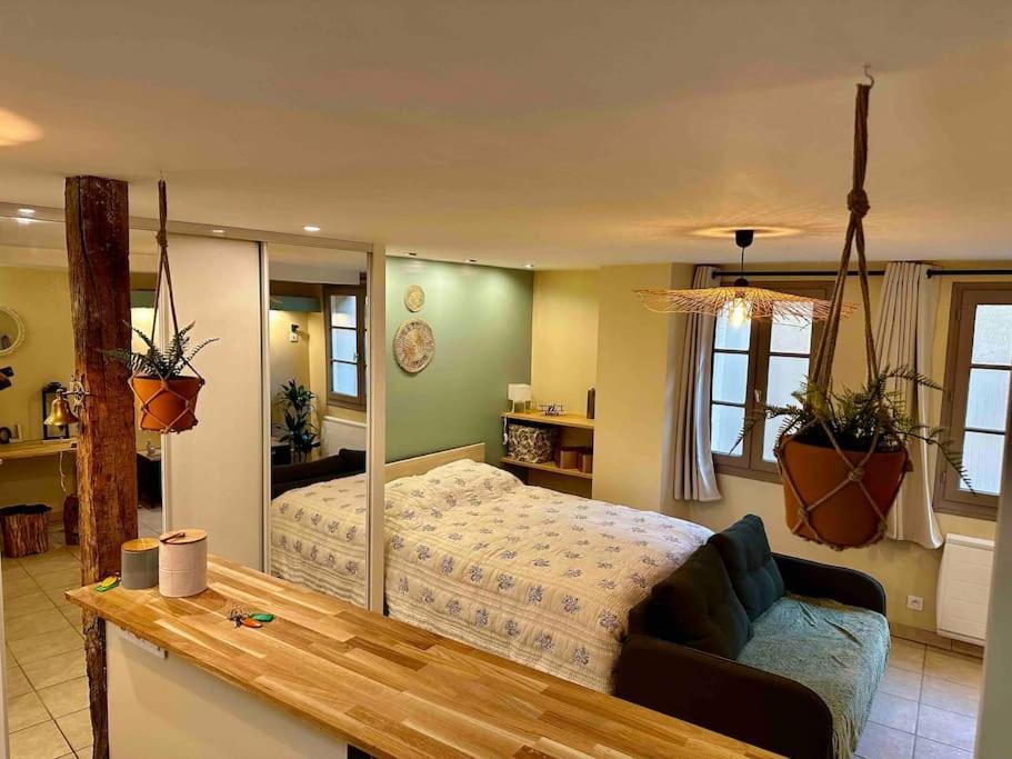 Superbe Studio Centre 里摩日 外观 照片